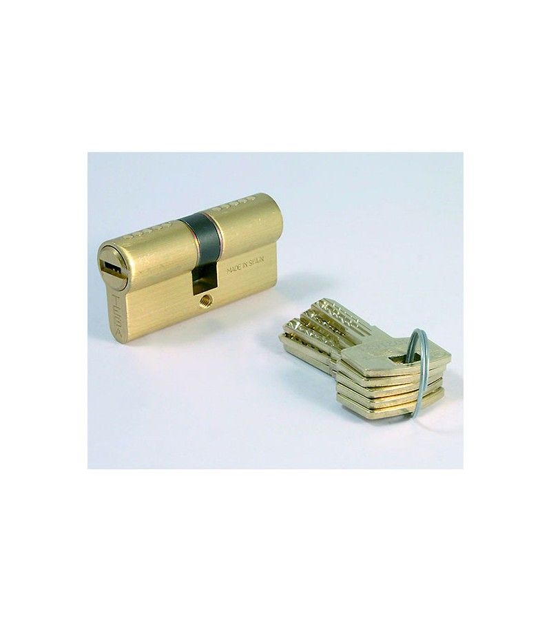 Foto de CILINDRO SEGURIDAD 30X30 LT LEVA 15 TX853030L TESA 