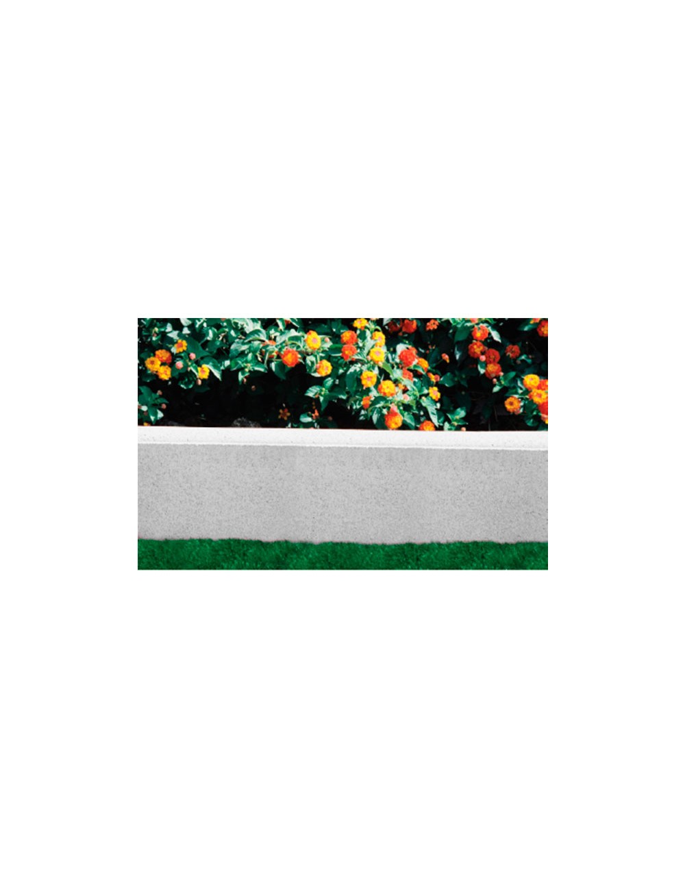 Foto de BORDILLO REDONDO 1 50X20X5 CANTO REDONDO BLANCO 