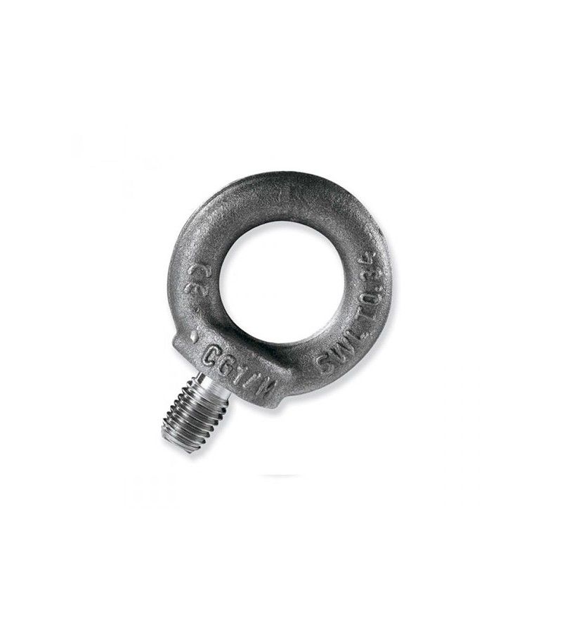 Foto de CANCAMO MACHO DIN 580 ANI-M 6 MM 