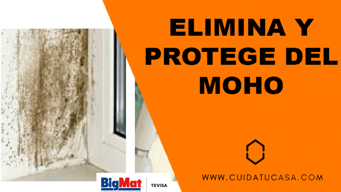 ELIMINA Y PROTEGE DEL MOHO